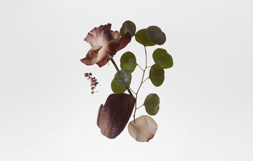 BODY FRAGRANCE  - SMOKED ORRIS